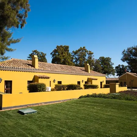 Gale Albacora 타비라