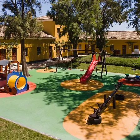 Gale Albacora Tavira