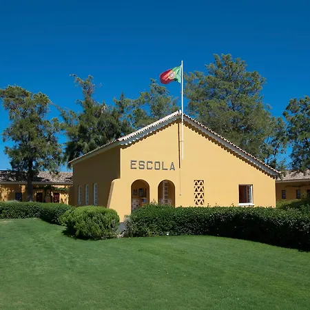 Gale Albacora Tavira